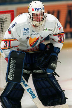 Patrik Hofbauer, Djurgården