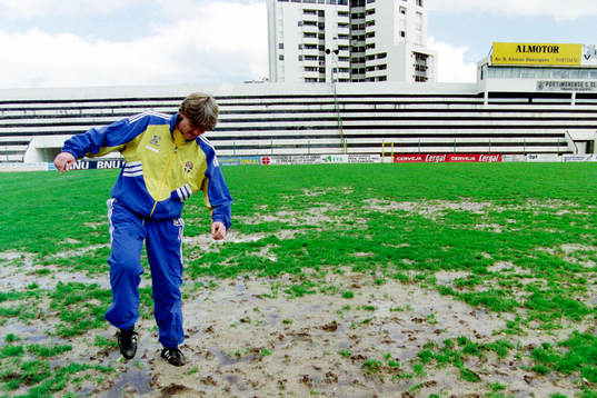 Pia Sundhage, Sverige inspekterar planen