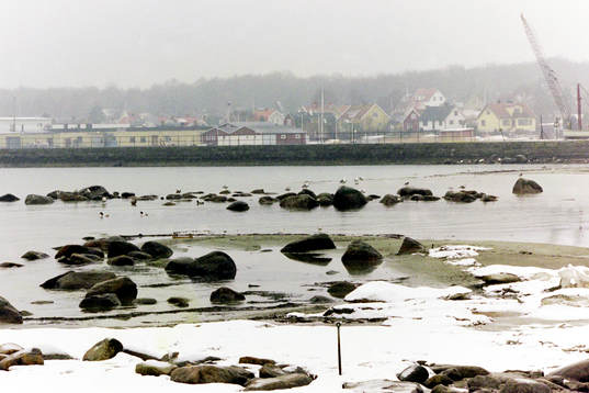 Hällevik