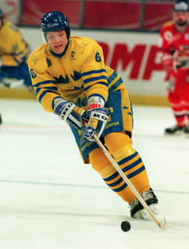 Anders Huusko, Sverige