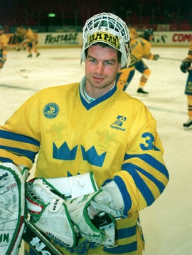 Mikael Sandberg, Sverige