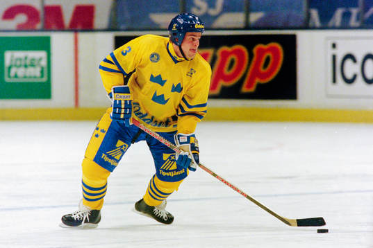 Ronnie Sundin, Sverige