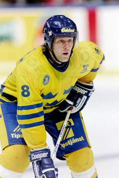 Kenneth Kennholt, Sverige