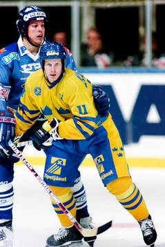 Daniel Alfredsson, Sverige