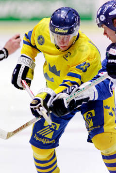 Jörgen Jönsson, Sverige