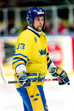 Tommy Sjödin, Sverige