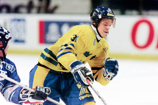 Fredrik Modin, Sverige