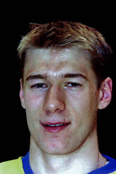 Mattias Öhlund, Sverige