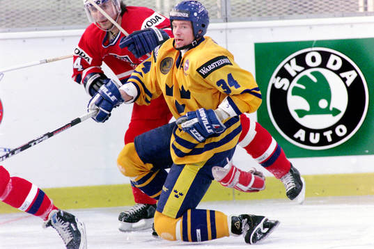 Roger Johansson, Sverige