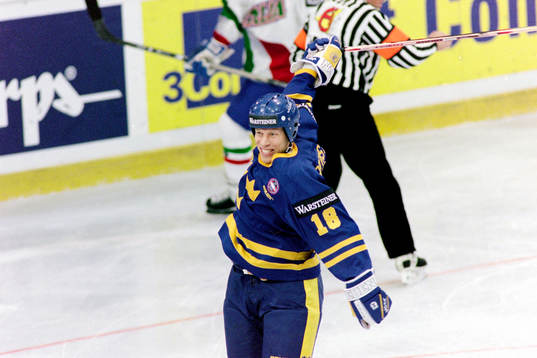 Jonas Bergqvist, Sverige jublar