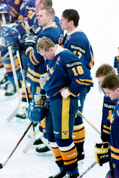 Jonas Bergqvist, Sverige