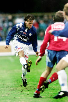 Fredrik Ljungberg, Halmstad