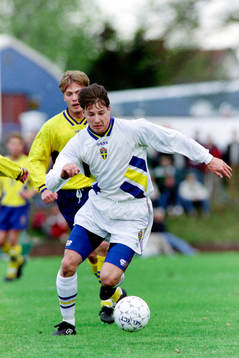 Robert Steiner, Sverige B