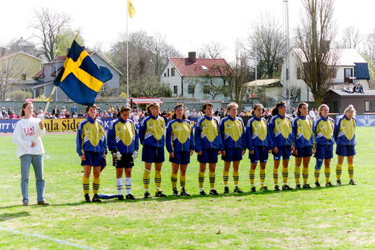 Det svenska laget