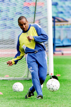 Martin Dahlin, Sverige