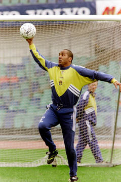 Martin Dahlin, Sverige