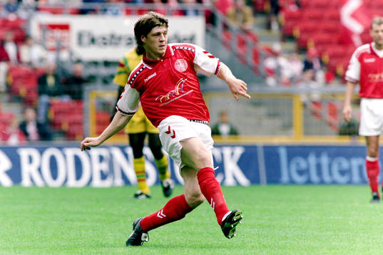 Thomas Helveg, Danmark