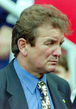 Football, Uefa EURO 1996 (England), Semifinal, France -