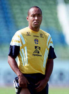 Martin Dahlin, Sverige