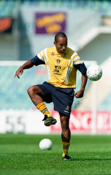 Martin Dahlin, Sverige