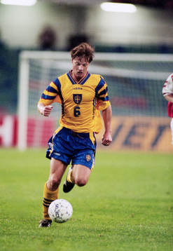 Stefan Schwarz, Sverige