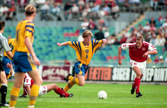 Stefan Schwarz fälls