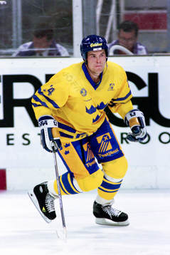 Niklas Sundström, Sverige