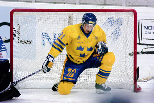 Peter Forsberg, Sverige