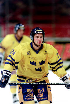 Niklas Sundström, Sverige