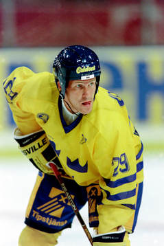 Johan Garpenlöv, Sverige