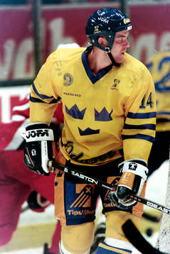 Mattias Norström, Sverige