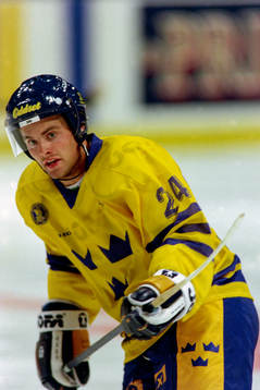 Niklas Sundström, Sverige