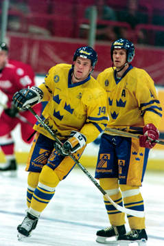 Mattias Norström och Nicklas Lidström, Sverige