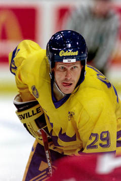Johan Garpenlöv, Sverige