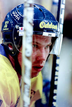 Peter Forsberg, Sverige
