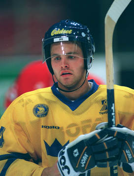 Niklas Sundström, Sverige