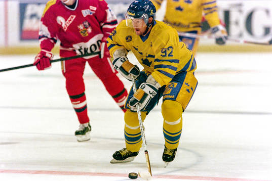 Johan Garpenlöv, Sverige