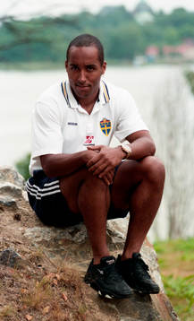 Martin Dahlin, Sverige