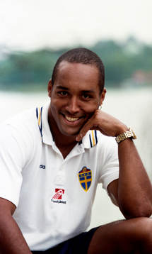 Martin Dahlin, Sverige