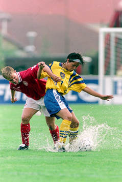 Jan Törnqvist, Sverige