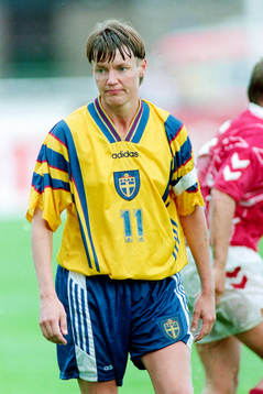 Lena Videkull, Sverige