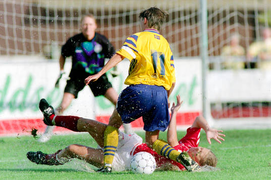Lena Videkull, Sverige