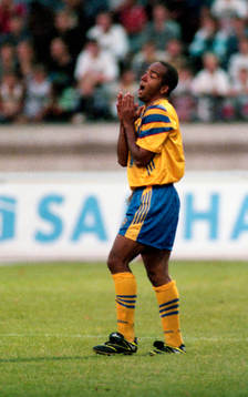 Martin Dahlin, Sverige