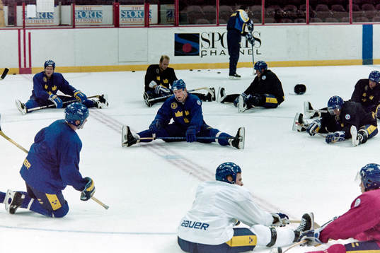 Mats Sundin, Sverige