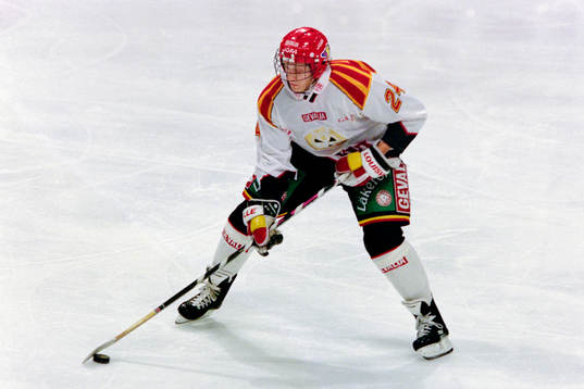 Jevgenij Davydov, Brynäs