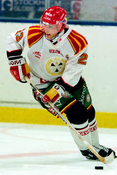 Per Löfström, Brynäs