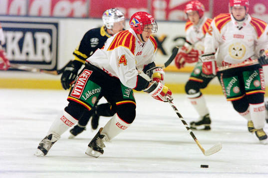 Jevgenij Davydov, Brynäs