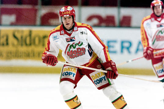 Rauli Raitanen, Modo