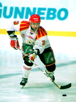 Mikael Lindman, Brynäs