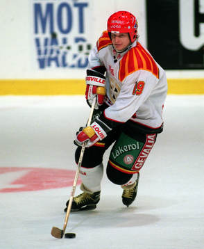 Igor Boldin, Brynäs